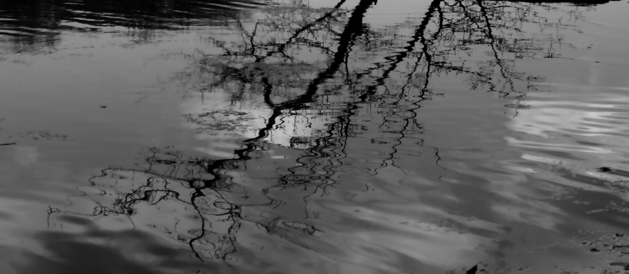 2012 09 16 9999 40ebw